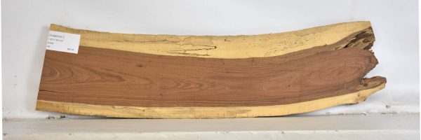 TAMB1037_1