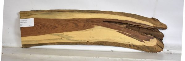 TAMB1037_2