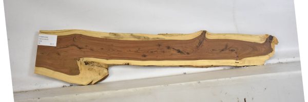 TAMB1039_2