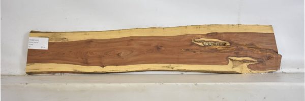 TAMB1040_2