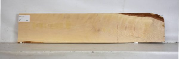 BIRFL1242_2