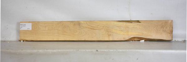 BIRFL1244_2