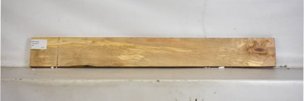 BIRFL1254_2