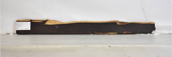 BLAF1211_2