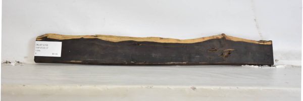 BLAF1216_1
