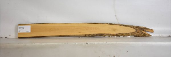 BOX1455_2