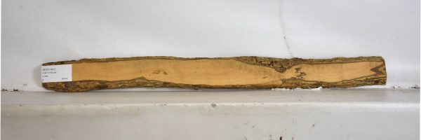BOX1461_1