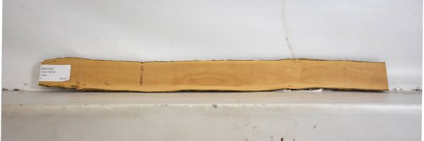 BOX1461_2