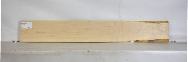 MAPCS1392_2