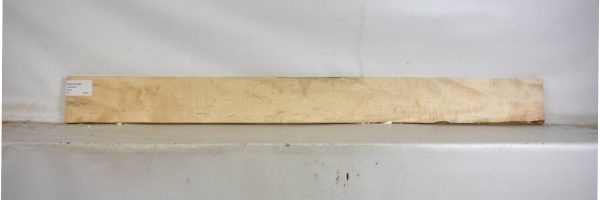 MAPCS1396_2