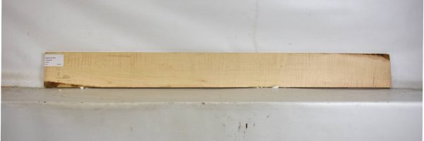 MAPCS1397_2