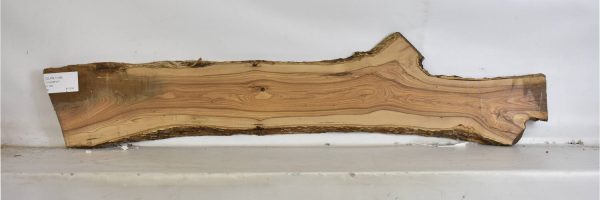 OLWIL1144_1