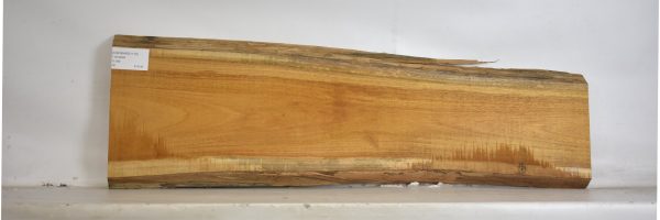 OSORARG1112_2