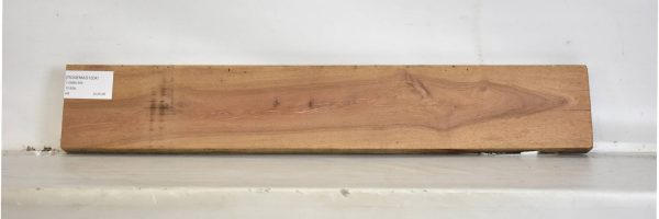 ROSEMAD1204_1