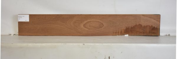 SAPELE1191_1