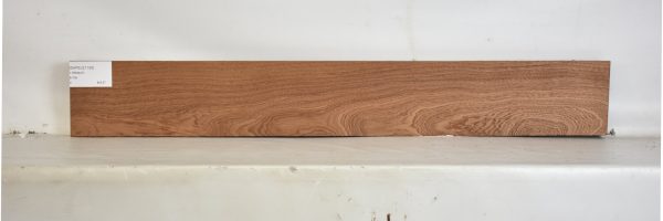 SAPELE1195_1
