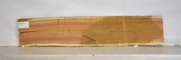 SNEEZE1049_2