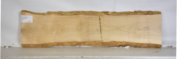 SYCFR1042_2