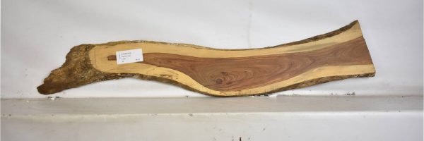 TAMB1042_1