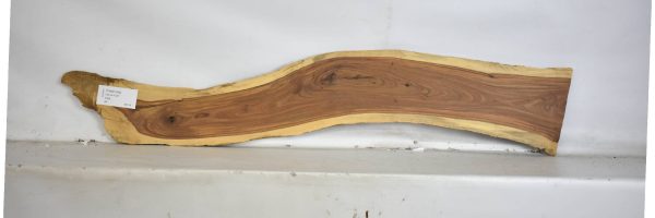TAMB1042_2