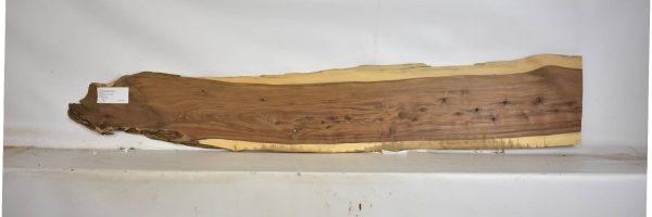 TAMB1043_2