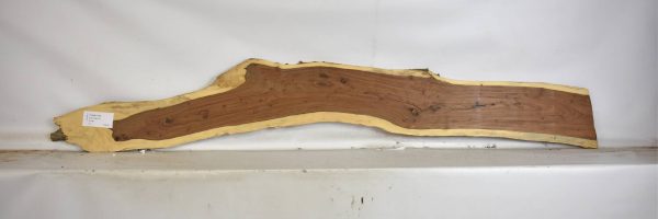 TAMB1044_1