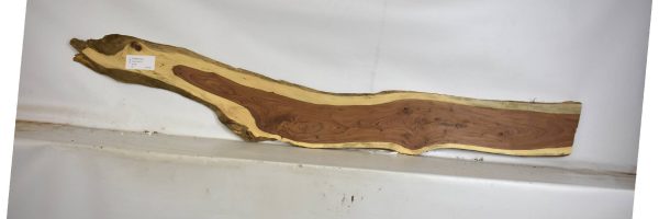TAMB1044_2