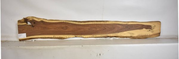 TAMB1045_1