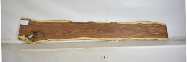 TAMB1045_2