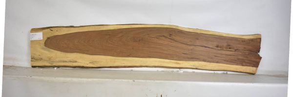 TAMB1047_1