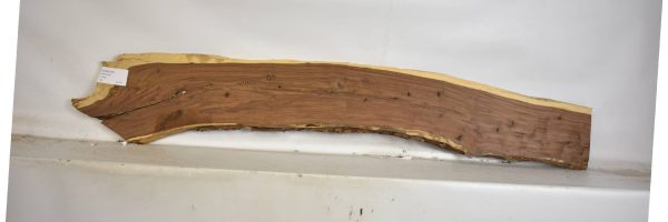 TAMB1049_2