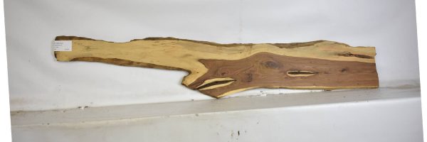 TAMB1050_2