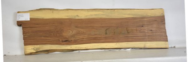 TAMB1051_1