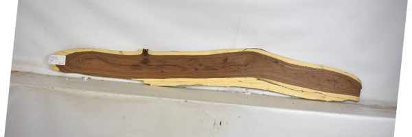 TAMB1053_1