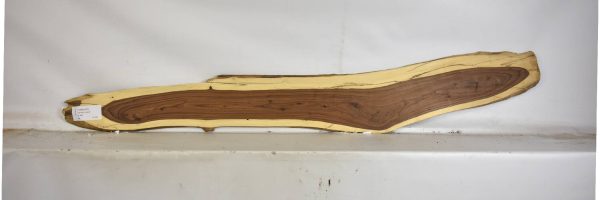 TAMB1053_2
