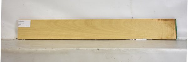 AVO1189_2