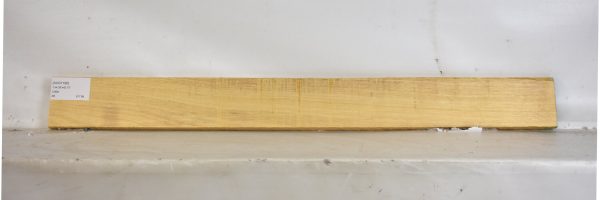 AVO1195_2
