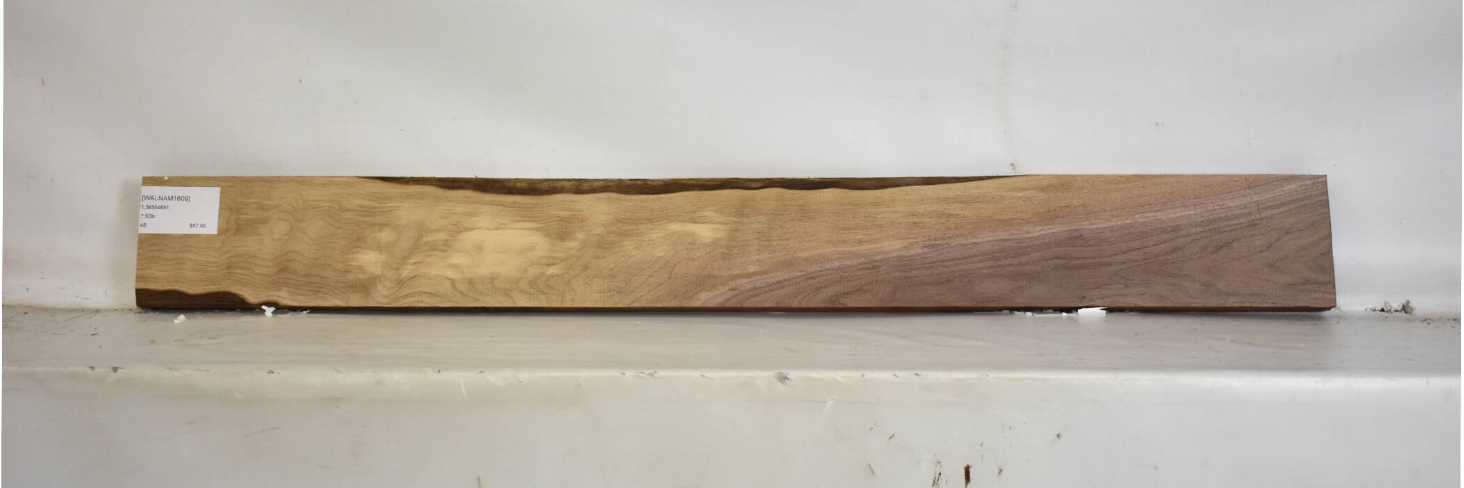 Walnut - American 2 WALNAM1609_2