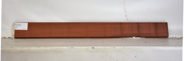 BLW1319_1