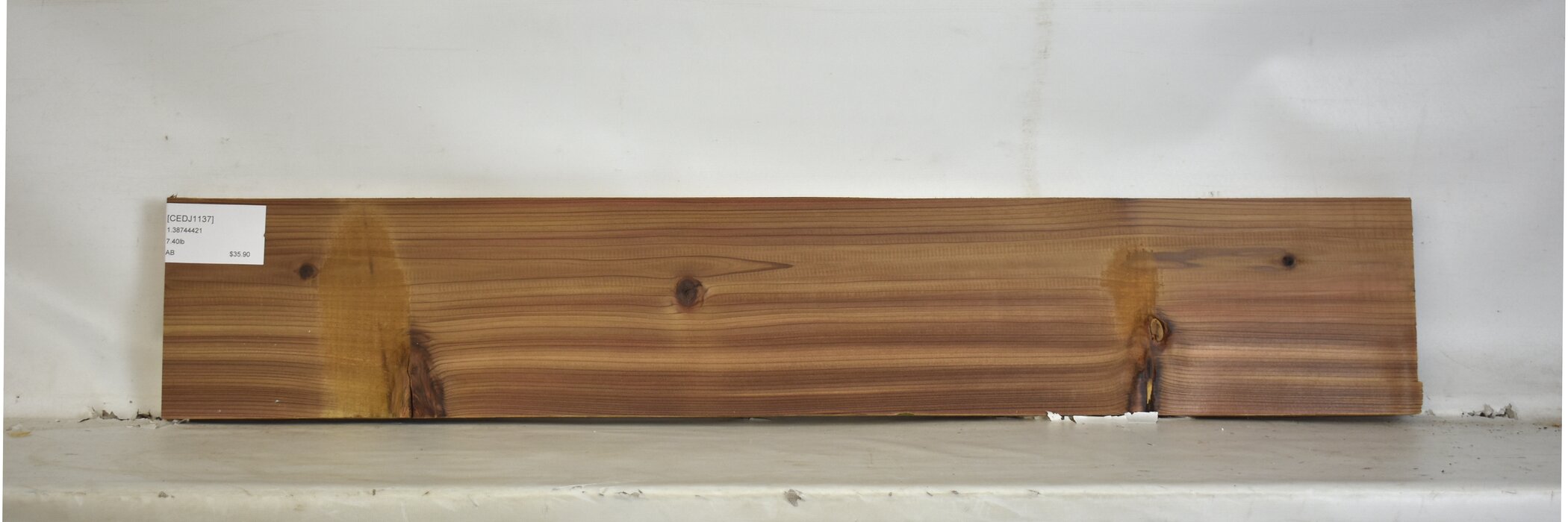 Cedar - Japanese 2 CEDJ1137_2