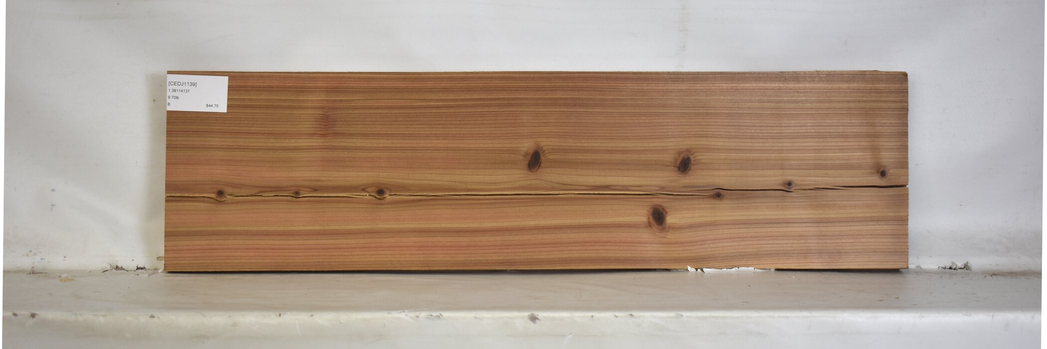 Cedar - Japanese 2 CEDJ1139_2