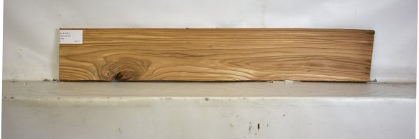 ELM1161_2