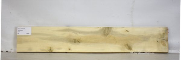 HOLLY1159_1