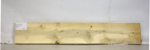 HOLLY1159_2