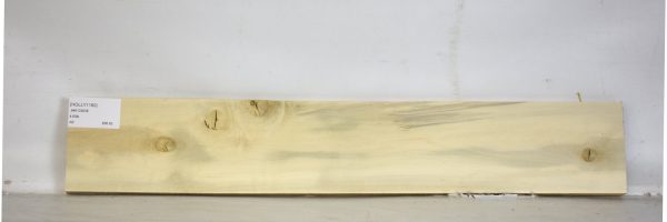 HOLLY1160_1
