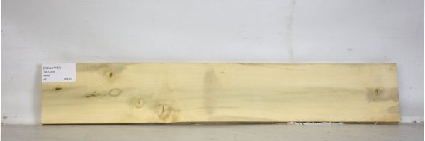 HOLLY1160_2