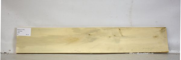 HOLLY1161_2