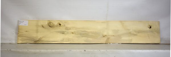 HOLLY1162_2