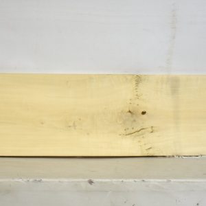 HOLLY1163_1