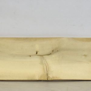 HOLLY1164_1